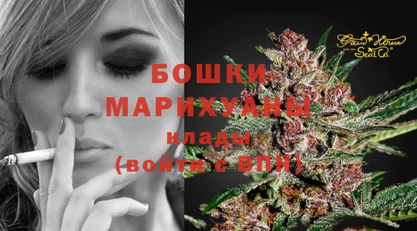 шишки Армянск