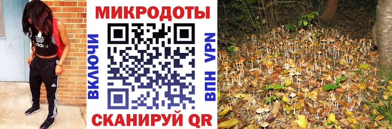 Галлюциногенные грибы Magic Shrooms  Калачинск 